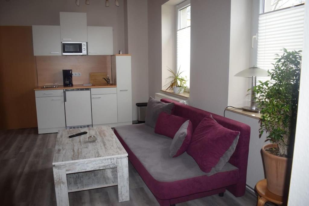 City Appartement Mit Garten, Zentral Und Trotzdem Ruhig Cottbus Exterior photo