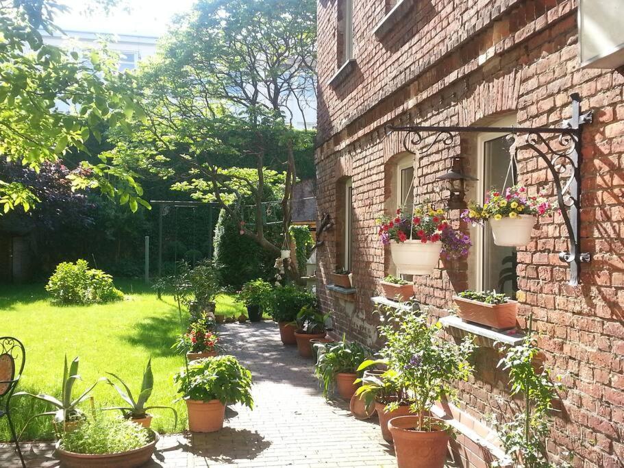 City Appartement Mit Garten, Zentral Und Trotzdem Ruhig Cottbus Exterior photo