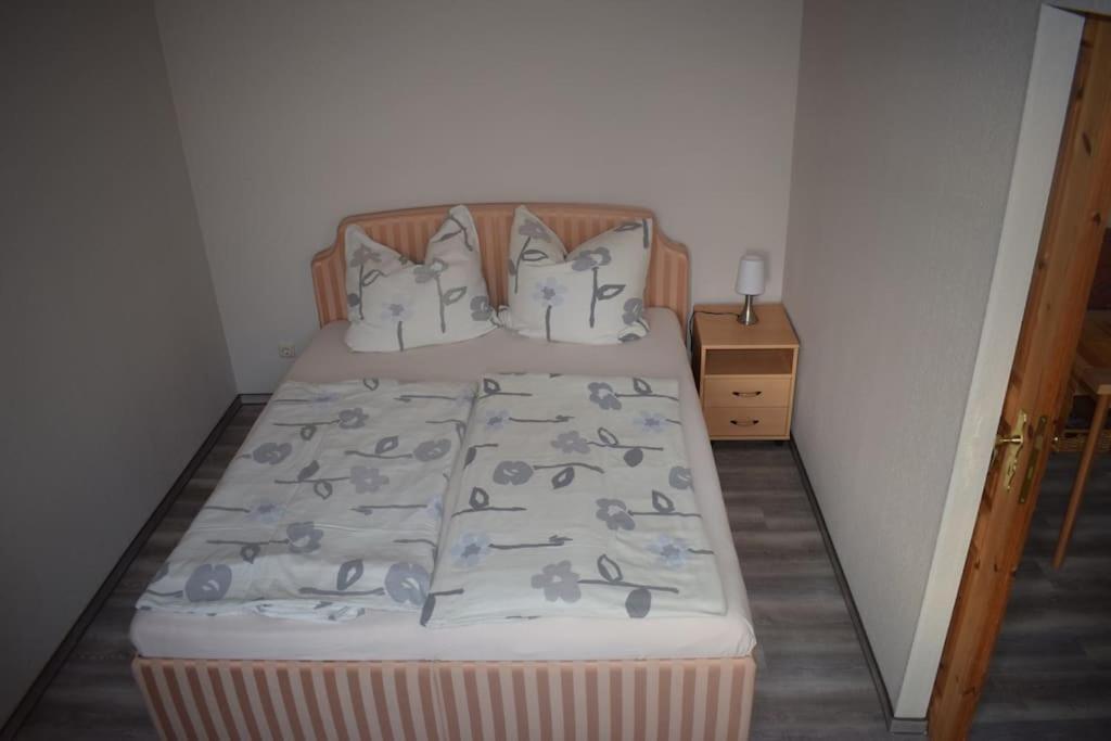 City Appartement Mit Garten, Zentral Und Trotzdem Ruhig Cottbus Exterior photo