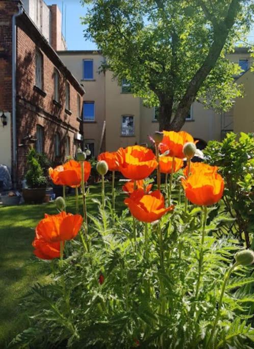 City Appartement Mit Garten, Zentral Und Trotzdem Ruhig Cottbus Exterior photo